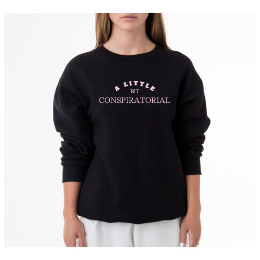 A Little Bit Conspiratorial Sweatshirt