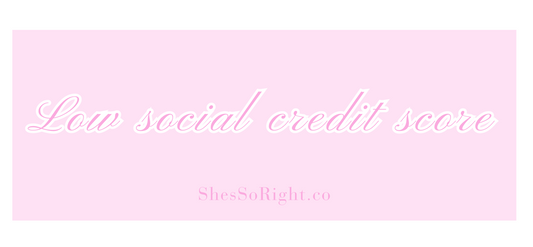 Low Social Credit Score Bumper Sticker
