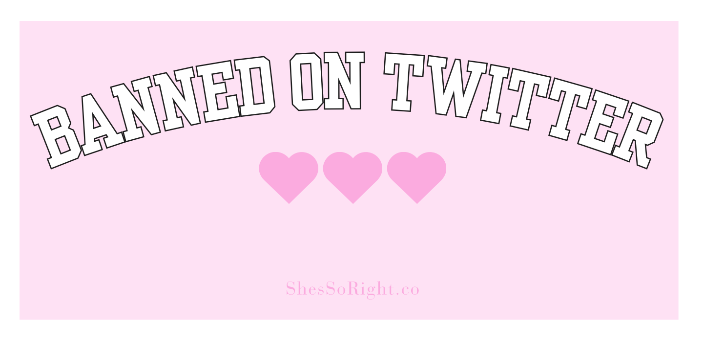 Banned On Twitter Bumper Sticker