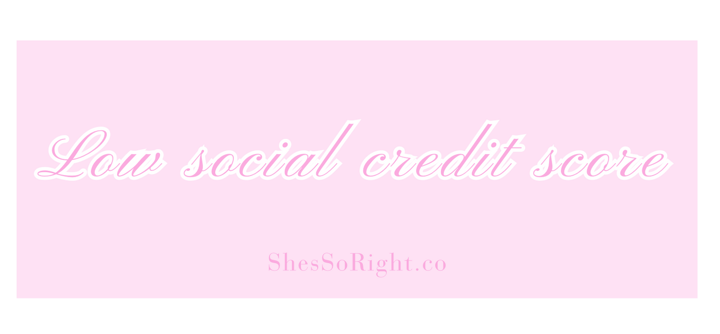 Low Social Credit Score Bumper Sticker